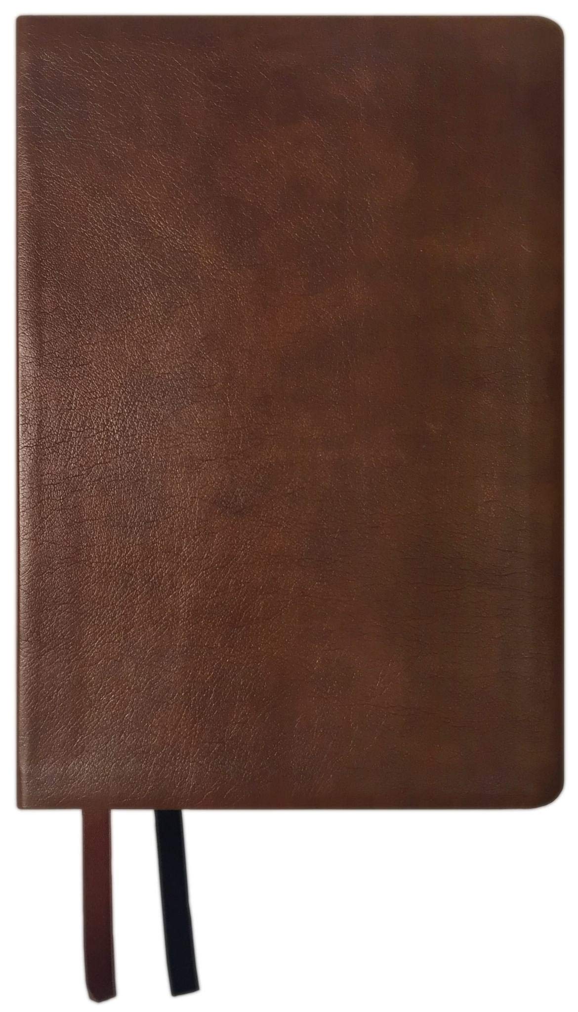 NASB 2020 Large Print Ultrathin Reference Bible, Brown