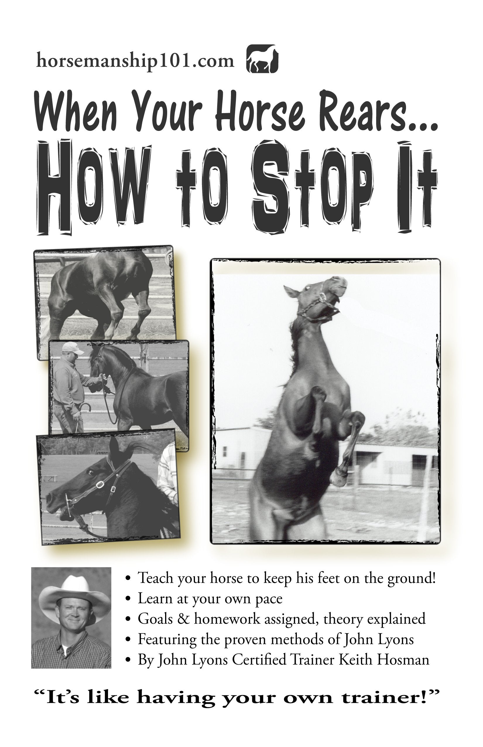 When Your Horse Rears