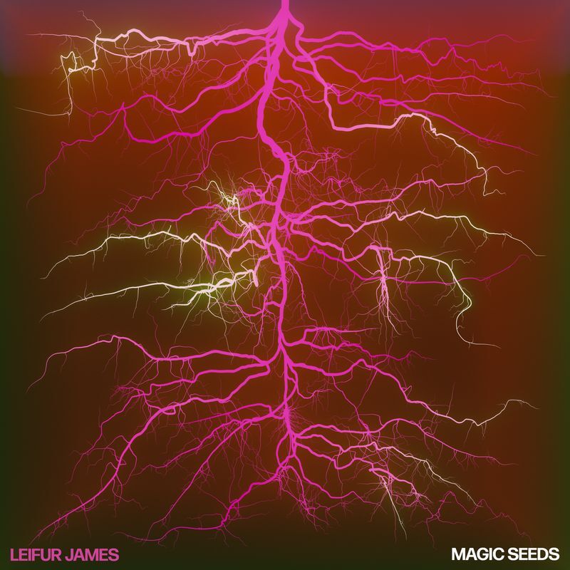 Magic Seeds