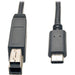 Tripp Lite USB 3.1 Gen 2 Cable 10 Gbps USB-C to USB-B, Thunderbolt 3, (M/M), 0.91 m (U422-003-G2