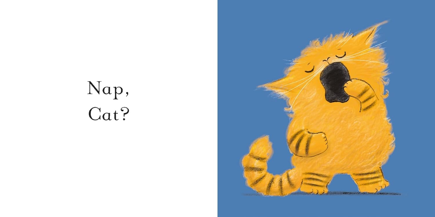 Cat Nap