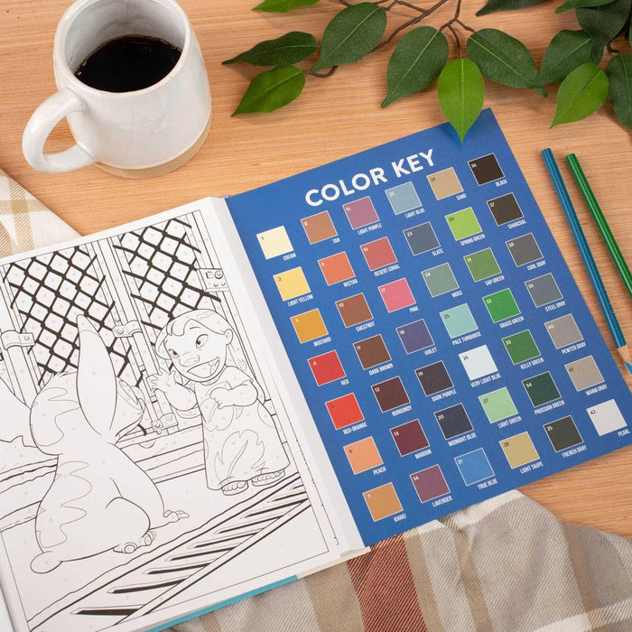 Disney Stitch Color-By-Number
