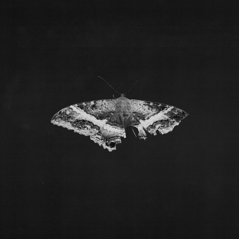 To Pimp a Butterfly (10th Anniversary Edition)