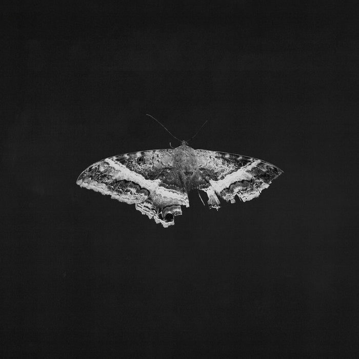 To Pimp a Butterfly (10th Anniversary Edition)