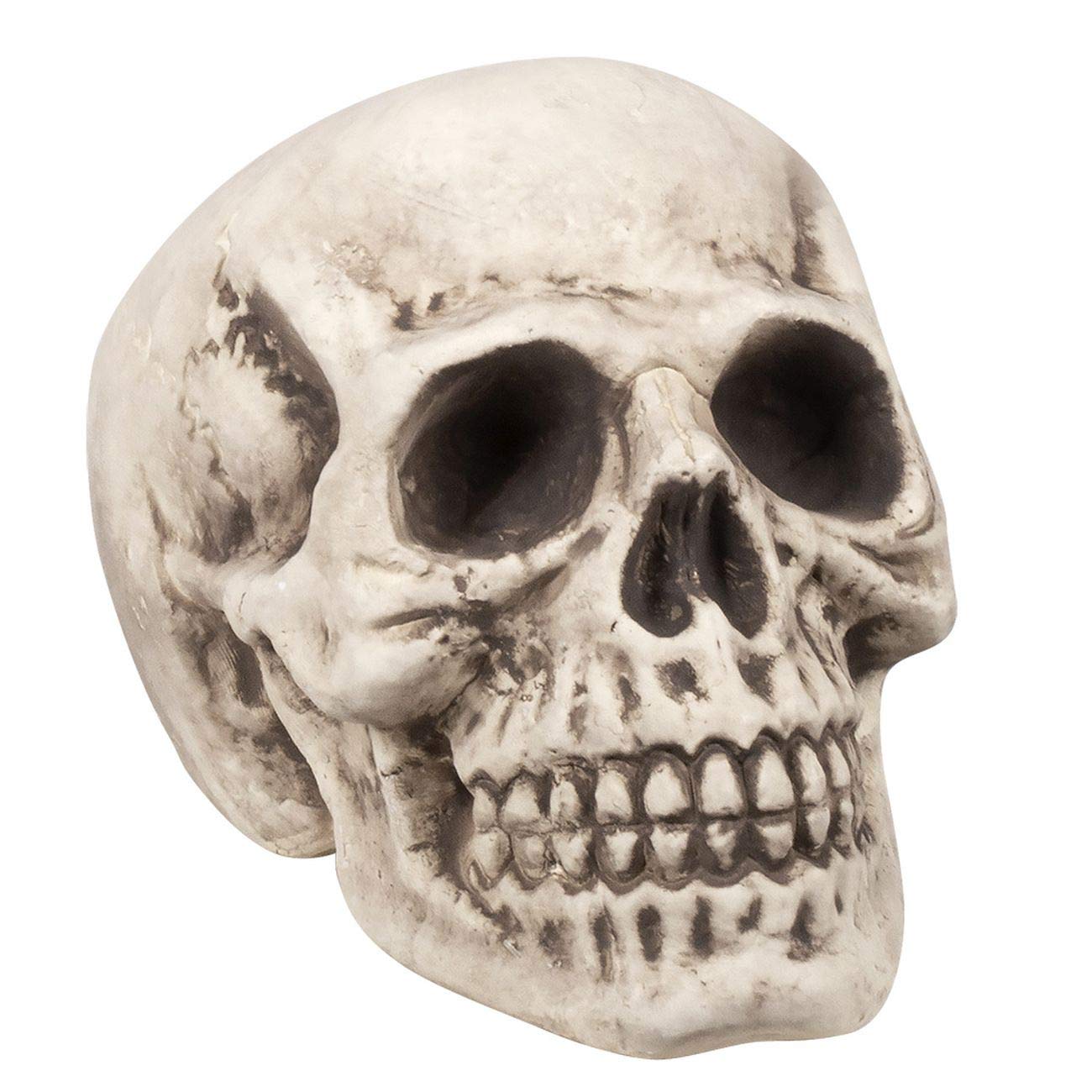 Boland Teschio Bighead, Multicolore, 10134108