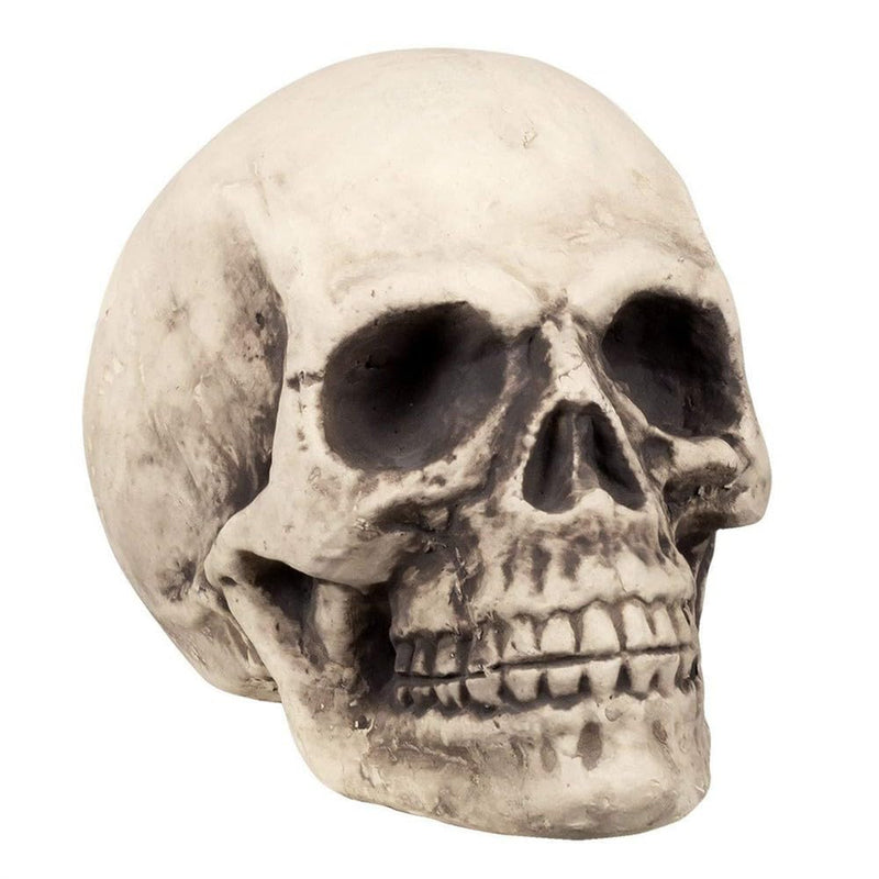Boland 71989 - Cranio Supermind, accessorio di Halloween, festa di Halloween