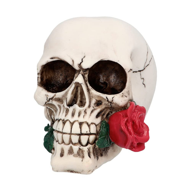 Boland - Decorazione Teschio in poliresina, Decorazione di Halloween per casa e Giardino, Teschio Decorativo, Decorazione da Tavolo