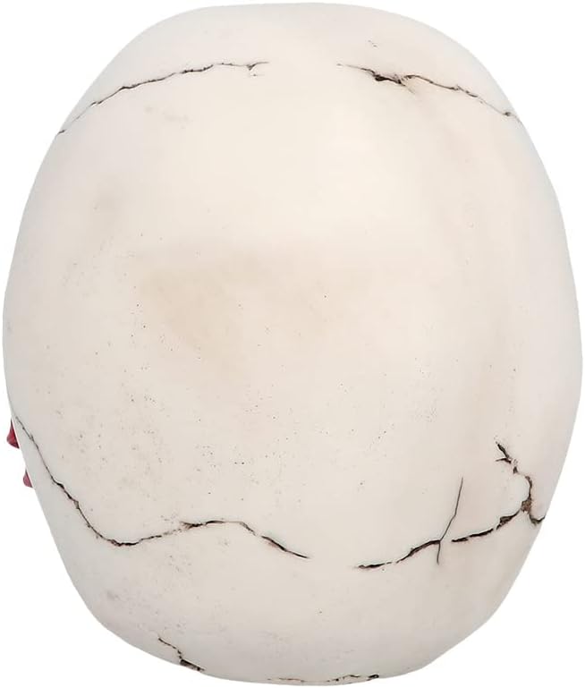 Boland - Decorazione Teschio in poliresina, Decorazione di Halloween per casa e Giardino, Teschio Decorativo, Decorazione da Tavolo