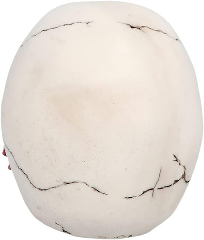 Boland - Decorazione Teschio in poliresina, Decorazione di Halloween per casa e Giardino, Teschio Decorativo, Decorazione da Tavolo