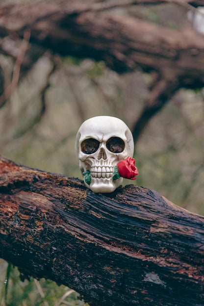 Boland - Decorazione Teschio in poliresina, Decorazione di Halloween per casa e Giardino, Teschio Decorativo, Decorazione da Tavolo