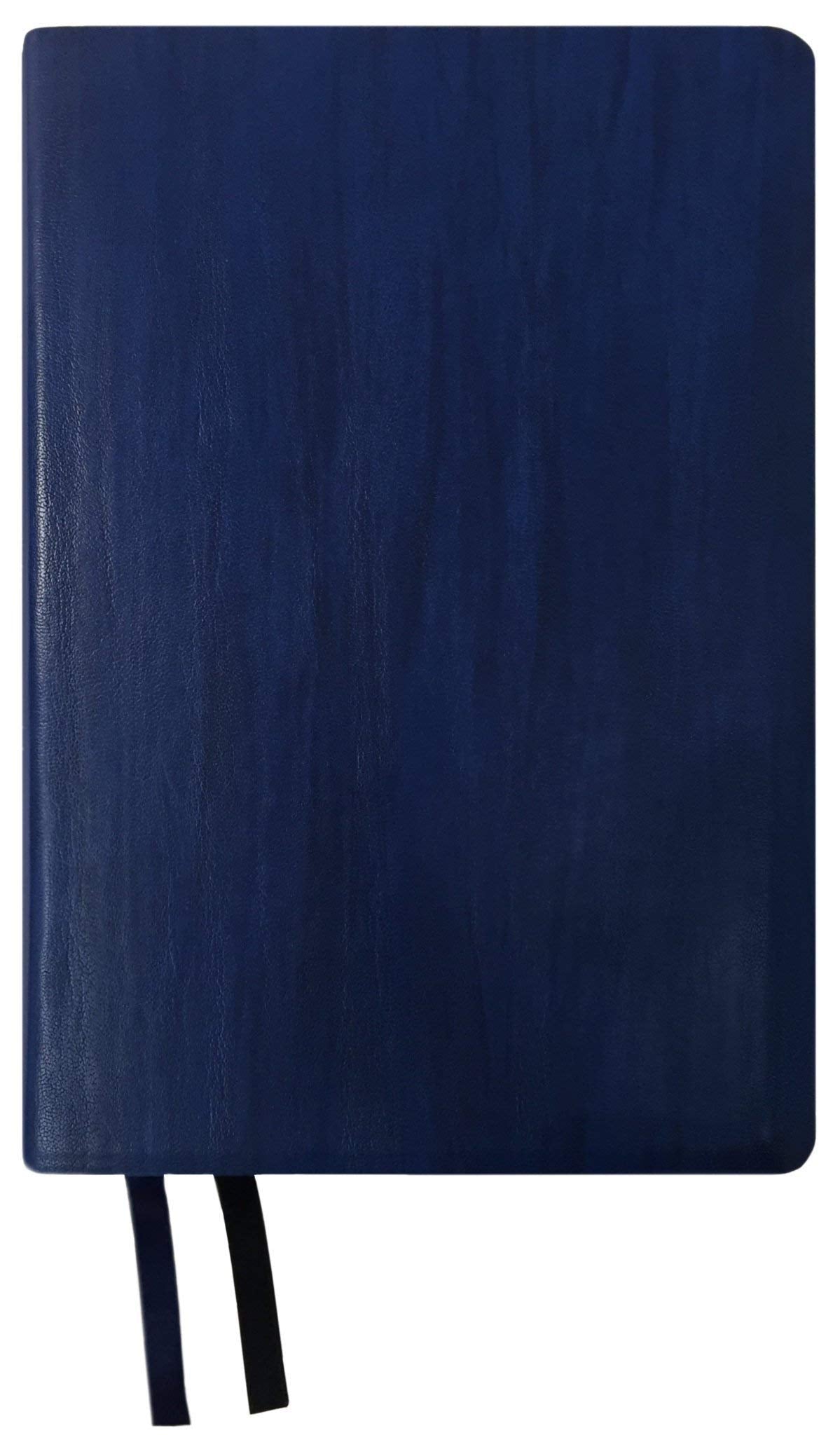 NASB 2020 Giant Print Text Bible, Blue