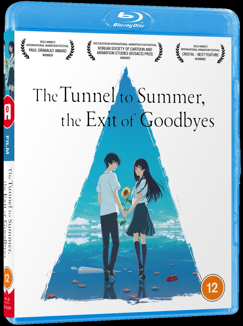 The Tunnel to Summer, the Exit of Goodbyes