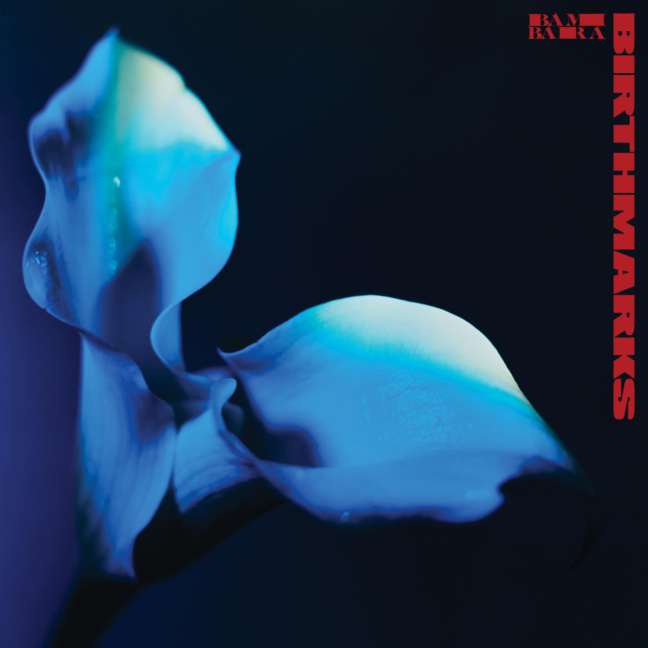 Audio Cd Bambara - Birthmarks