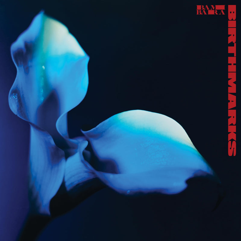 Audio Cd Bambara - Birthmarks
