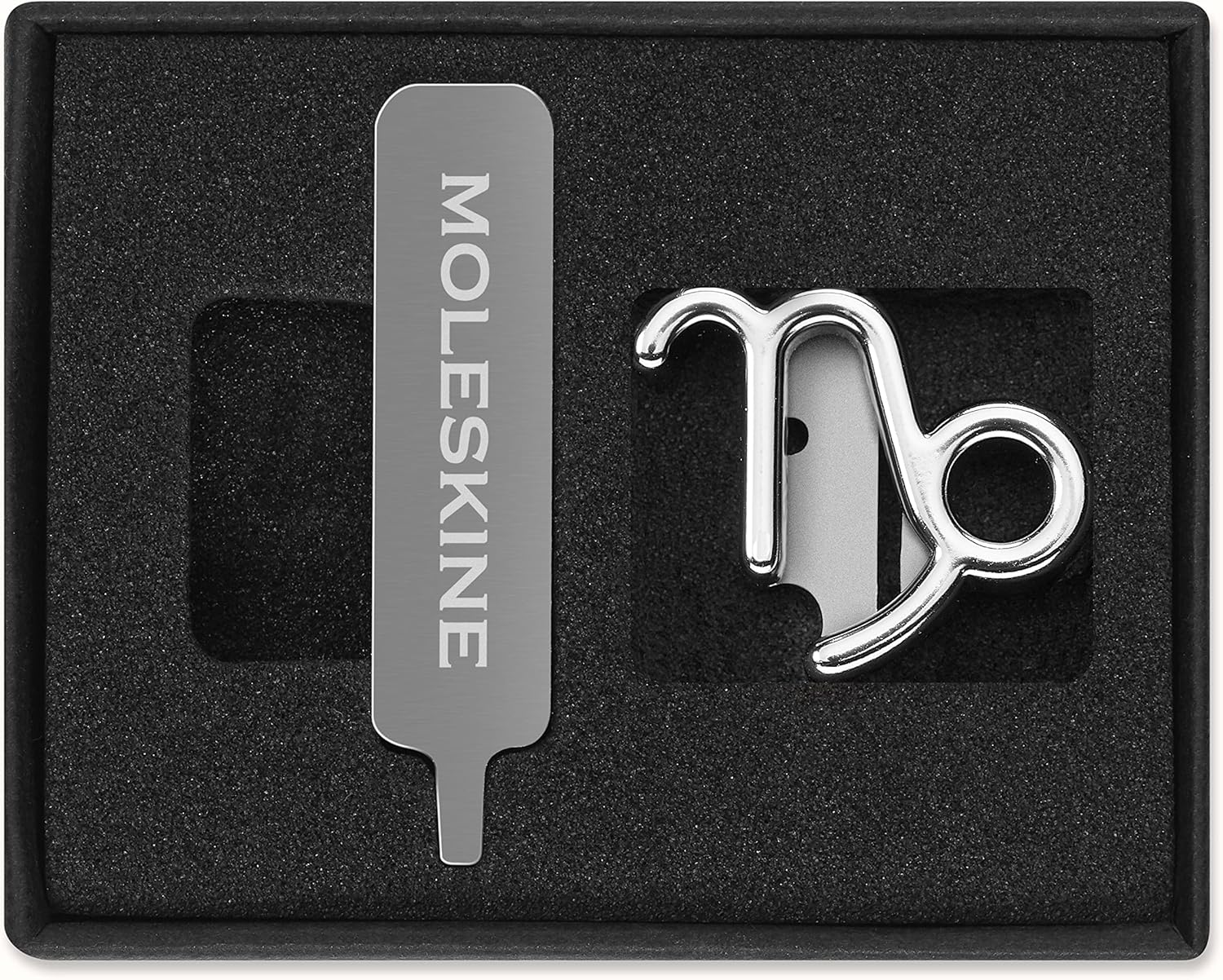 PINS CAPRICORN SILVER