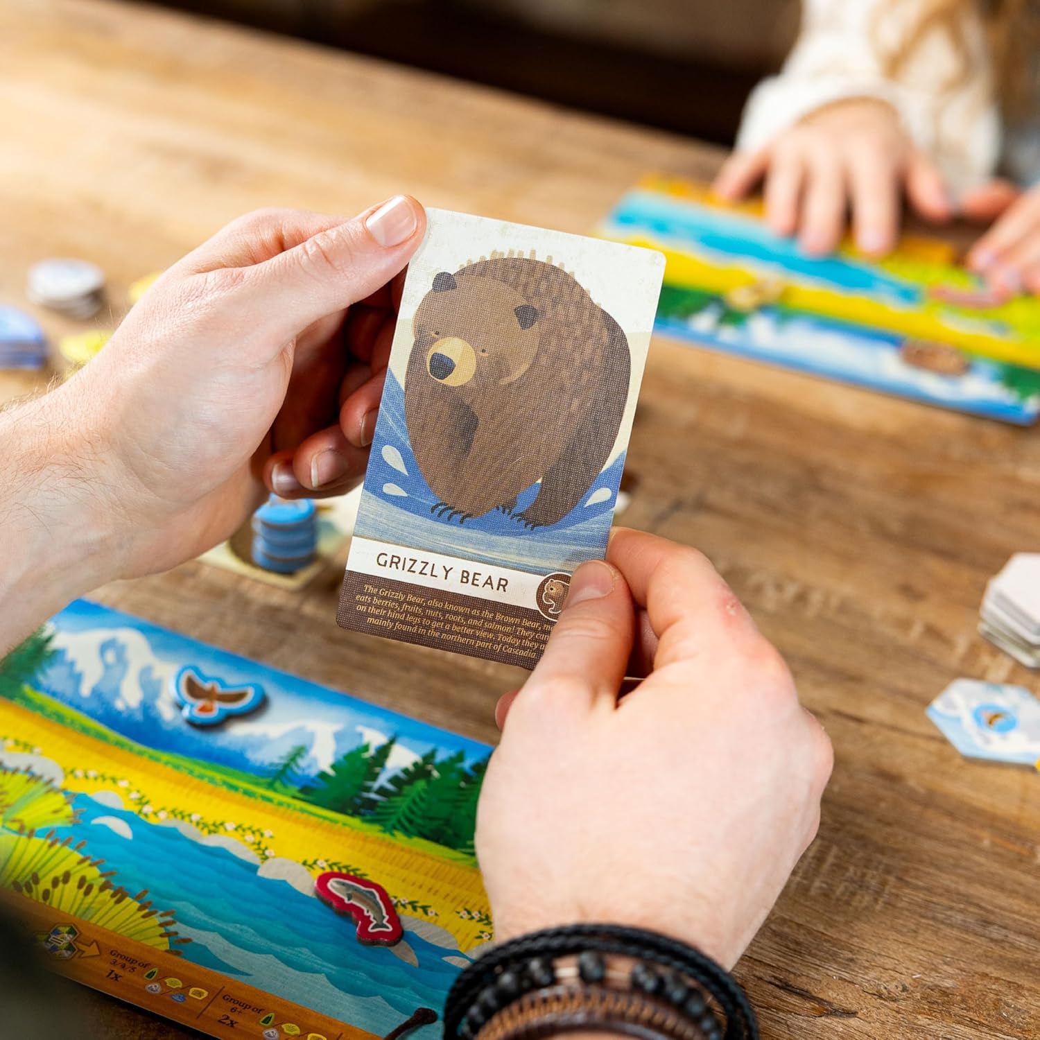 Alderac Entertainment Group | Cascadia Junior Board Game in English for All Family | Strategic Competitive Game for 2-4 Players | Standalone Game For Younger Players To Experience Cascadia