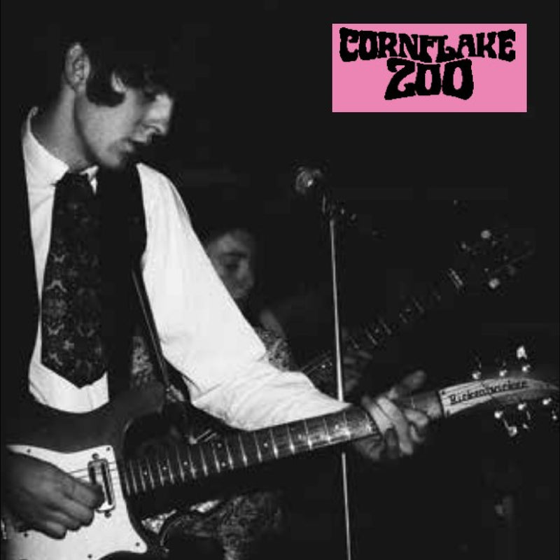 Knights of Fuzz