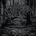 Wolves in the Throne Room