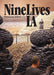 Nine Lives: Visionary Artists from L.A.