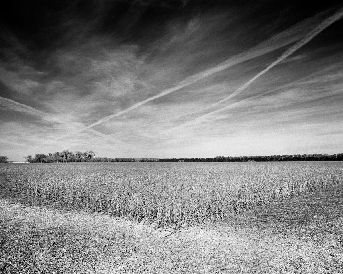 Homeplace
