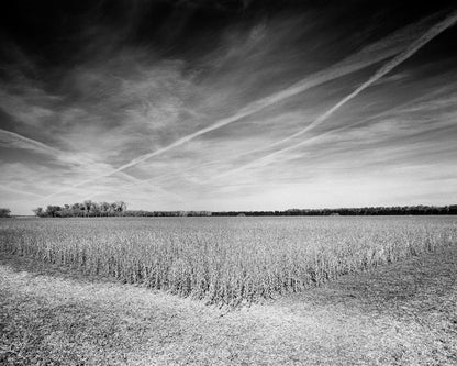 Homeplace