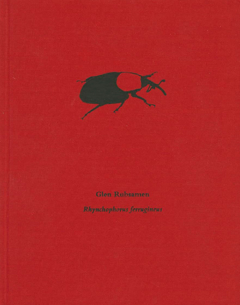 Glen Rubsamen: Rhynchophorus ferrugineus