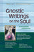 Gnostic Writings On The Soul: Annotated & Explained (SkyLight Illuminations