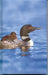 Loon Blank Journal (Nodin Press Blank Journals
