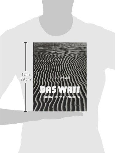 Alfred Ehrhardt - Das Watt