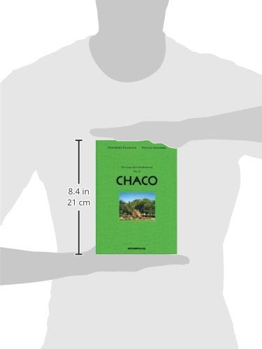 Campo Del Cielo Meteorites (v. 2): Vol. 2: El Chaco (Guillermo Faivovich & Nicolas Goldberg: El Chaco