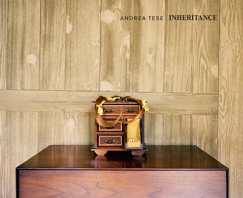 Andrea Tese:Inheritance