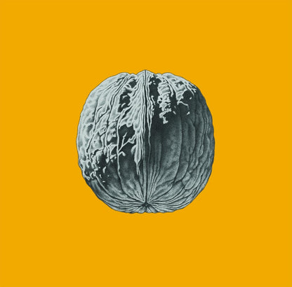L'Albero Delle Noci - Deluxe