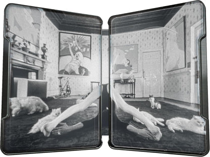 A Clockwork Orange Steelbook