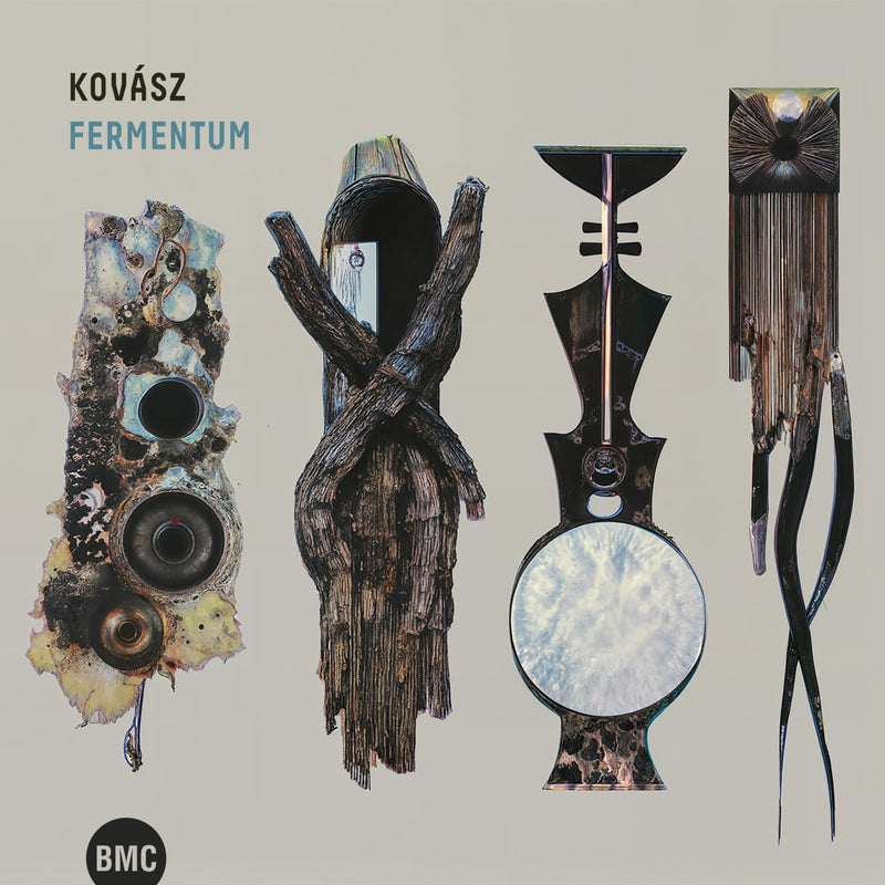 Fermentum