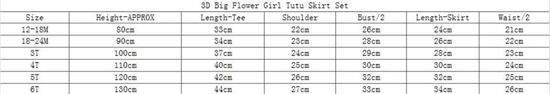 Baby Girls' Summer Cotton 2 Piece Set Cute Girls 3D Flower Lace Bow Tulle Tutu Skirt Sets Pink 18-24m