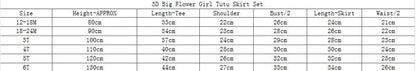 Baby Girls' Summer Cotton 2 Piece Set Cute Girls 3D Flower Lace Bow Tulle Tutu Skirt Sets Pink 18-24m