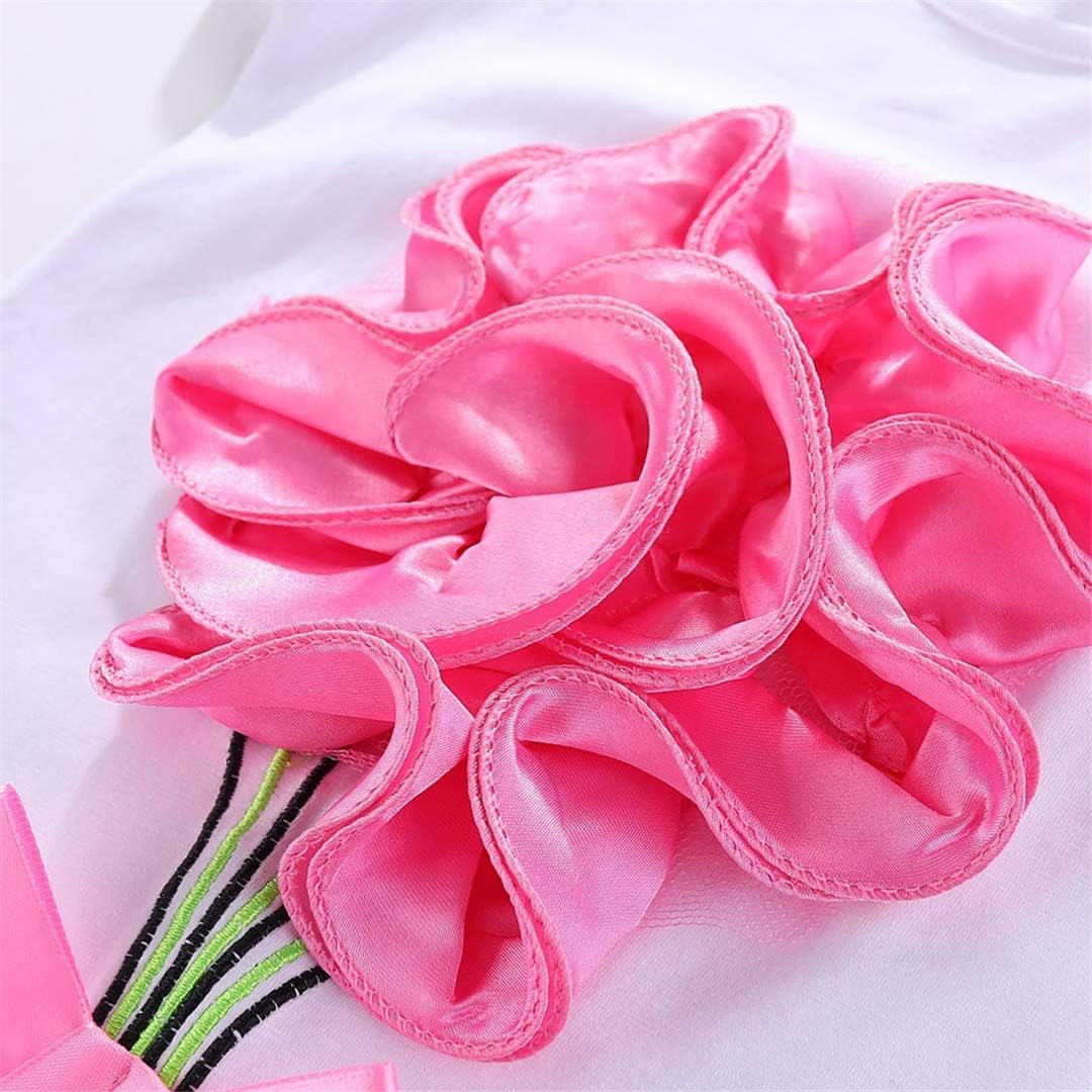 Baby Girls' Summer Cotton 2 Piece Set Cute Girls 3D Flower Lace Bow Tulle Tutu Skirt Sets Pink 18-24m