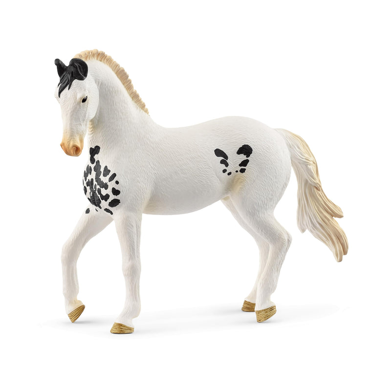 Schleich HORSE CLUB - Marwari Stallion -13cm Hand-Painted Collectable, Realistic Toy Horse Figurine for Girls and Boys. Durable Educational Figure for Fun Imaginative Play. Cool Kids Toys Age 5+ 14898