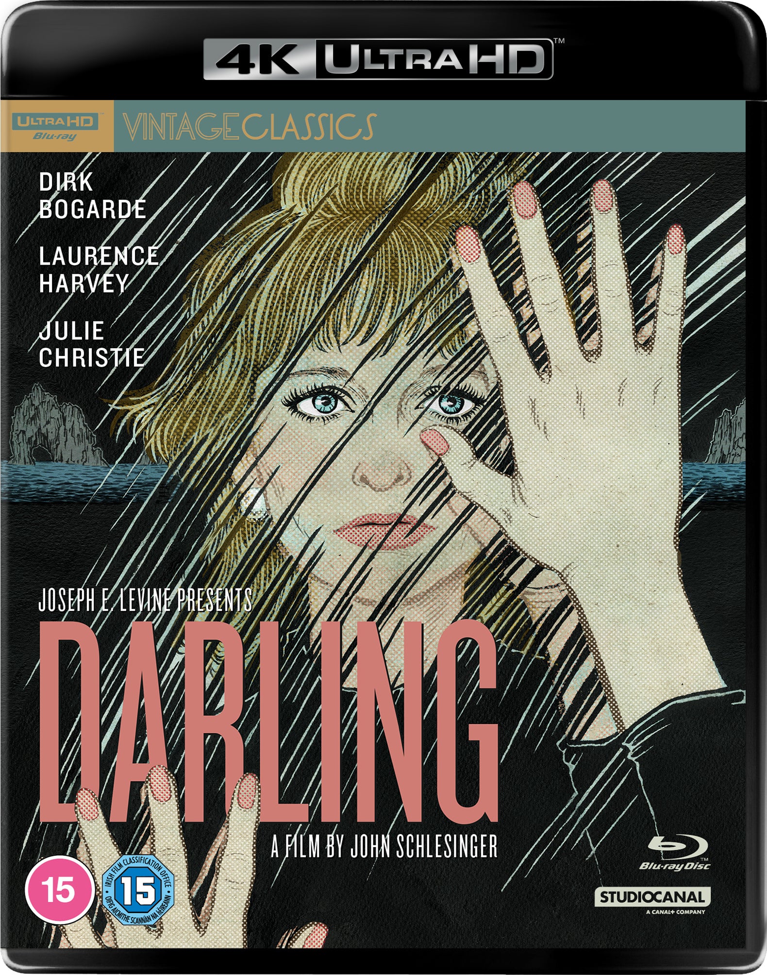 Darling 60th Anniversary Edition (Vintage Classics)