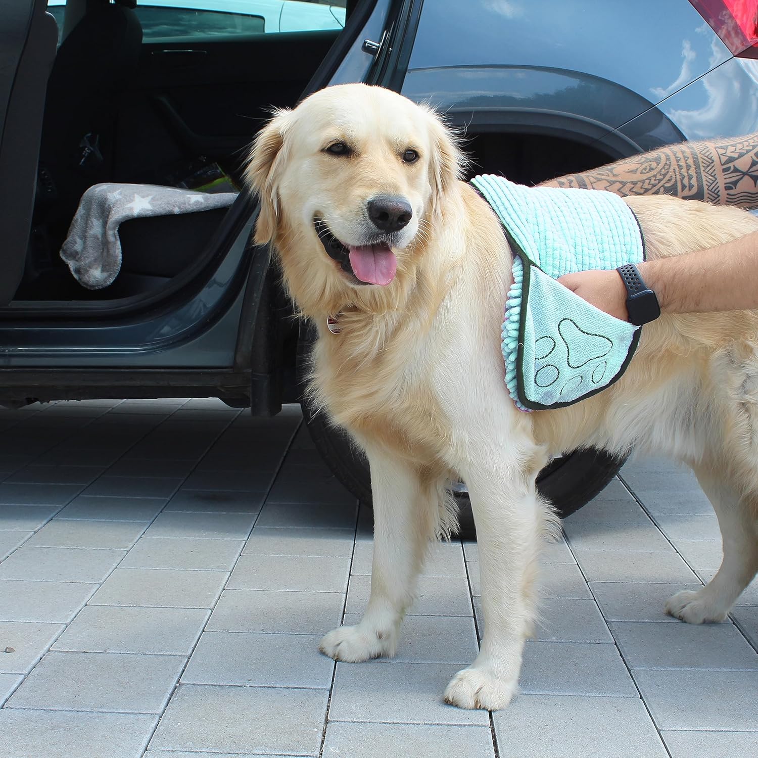 Winkee - Dog Towel - Pet Care