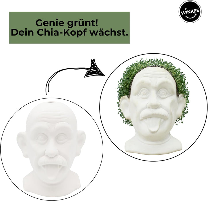 Winkee - Genius Chia Planter - Compact