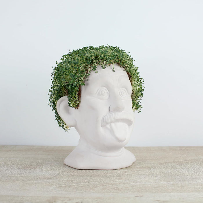 Winkee - Genius Chia Planter - Compact