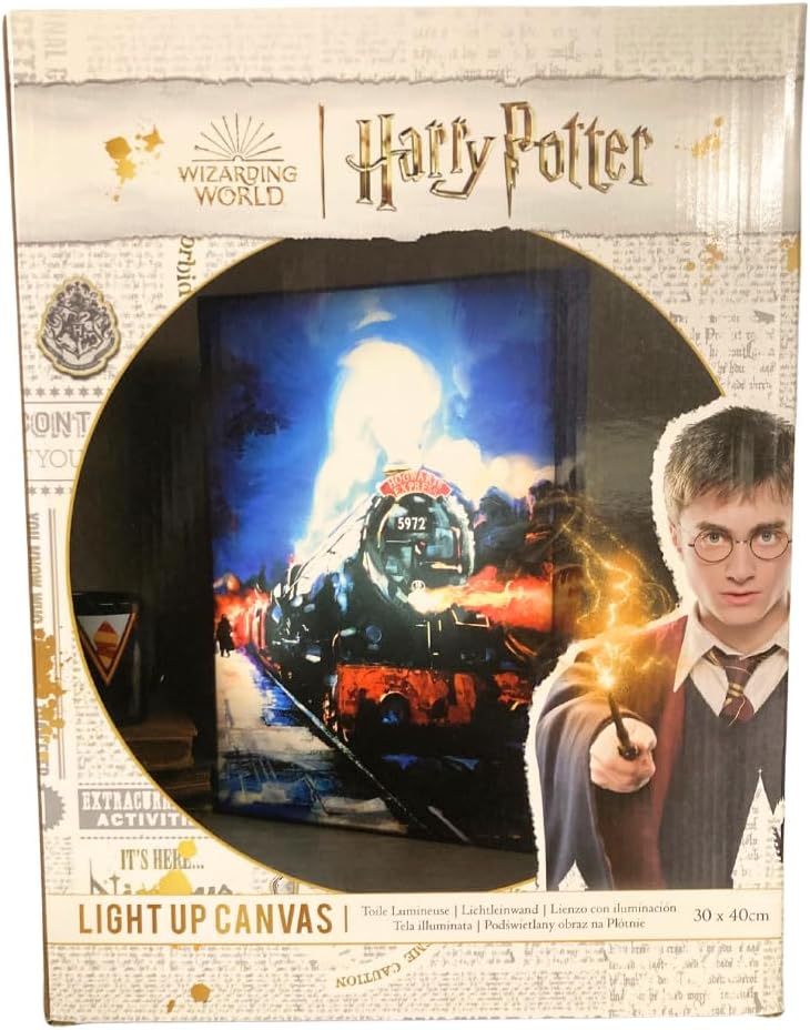 Light Up Canvas Harry Potter (Hogwarts Express) 30X40