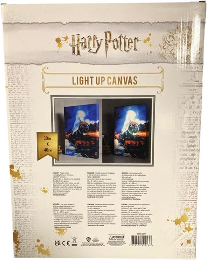 Light Up Canvas Harry Potter (Hogwarts Express) 30X40
