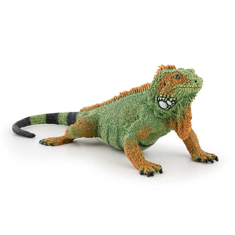 Papo - Hand-Painted Figurine - Iguana - Jungle Animals - Collectible - for Children - Boys and Girls - Ages 3 and Up