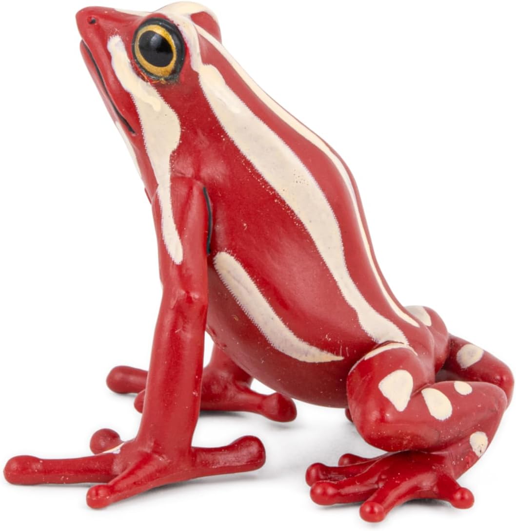 PAPO - Hand-Painted Figurine - Tri-Color Poison Dart Frog - Tropical Forest Animals - Collectible - for Children - Boys and Girls - Ages 3 and Up