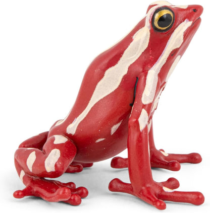 PAPO - Hand-Painted Figurine - Tri-Color Poison Dart Frog - Tropical Forest Animals - Collectible - for Children - Boys and Girls - Ages 3 and Up