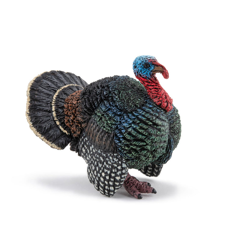 PAPO - Hand-Painted Figurine - Turkey - Farm Animals - Collectible - for Children - Boys and Girls - Ages 3 and Up