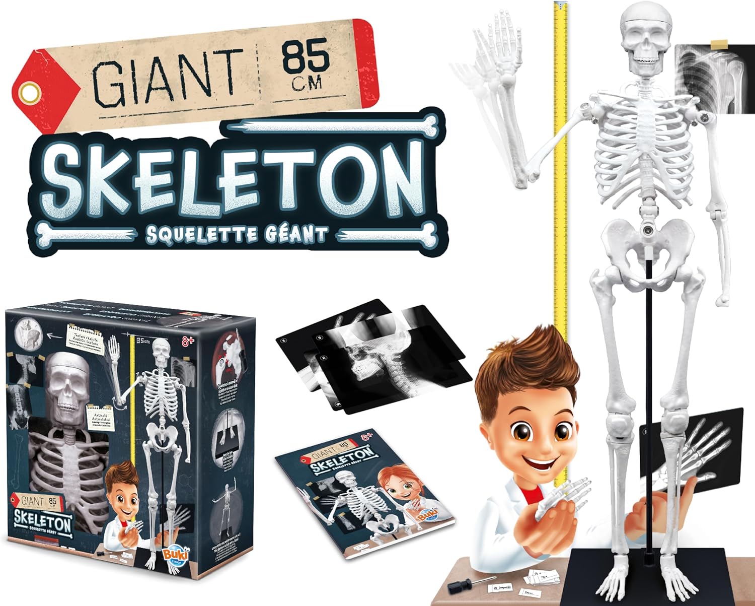 Buki France-Esqueleto Gigante 85 cm, Color, (2181