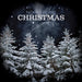 North Point Christmas-V/A